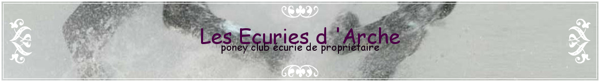Les Ecuries d 'Arche